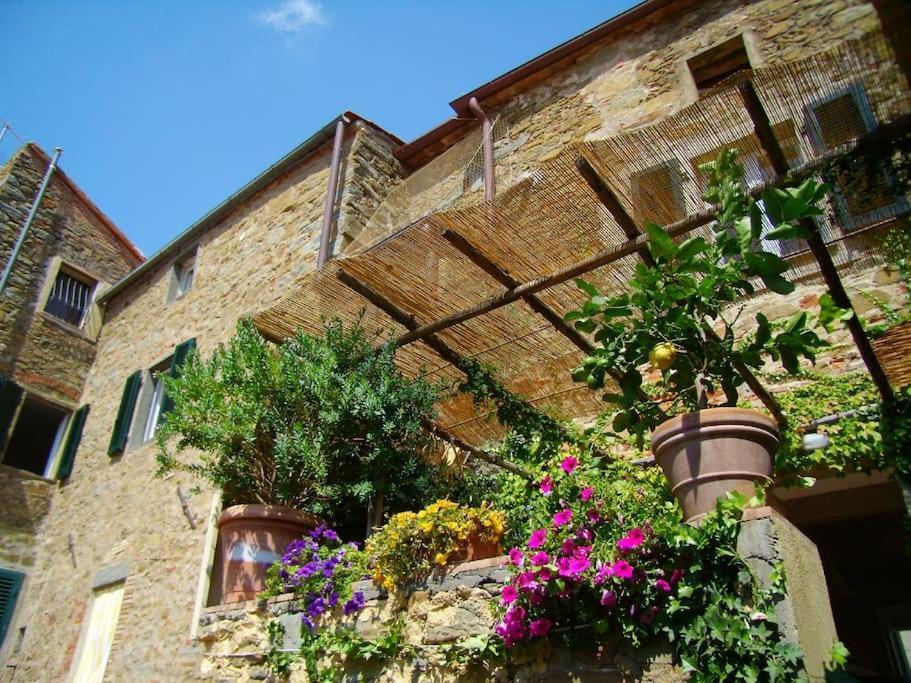 Near The Sea Big Panoramic House 2 Terraces In Lovely Village Montiano  Εξωτερικό φωτογραφία